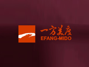 ����һ������Ͷ�Y�lչ���޹�˾