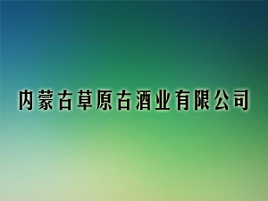 ���ɹ��a�ֹ�������Ԫ���ƘI���޹�˾
