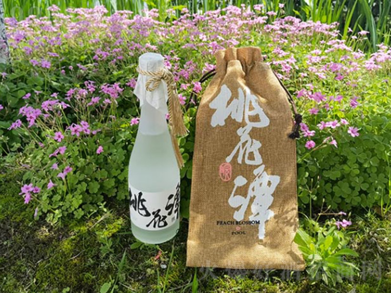 �һ�̶����6 �����͡�42�� 500ml��-�׾�������Ϣ
