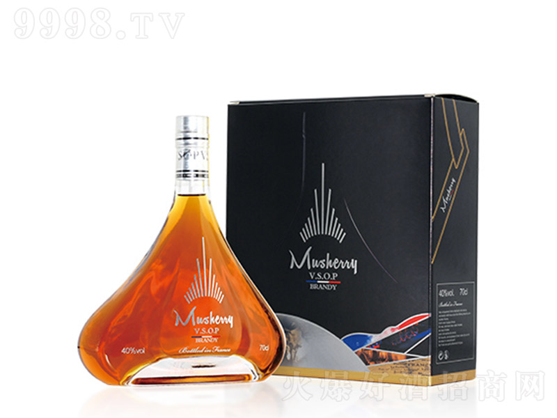 ĽԊ�mV.S.O.P���m�ء�700ml��