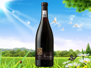 �W�Z�£���򣩇��H�Q�����޹�˾